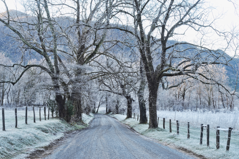 cades cove loop in the smokies in the winter