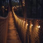 Tree Bridge at Anakeesta at Night with Lights